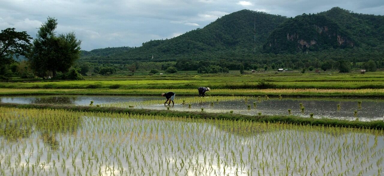 Photograph the peaceful allure of Cambodia’s landscapes